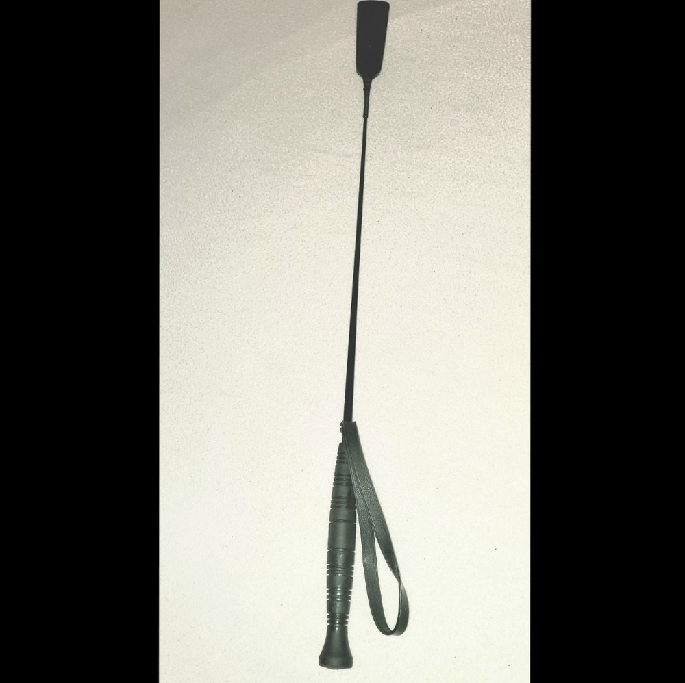 NWOT Riding Crop